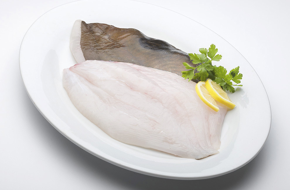 filete gallo pedro